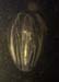 210-20Mnemiopsis
